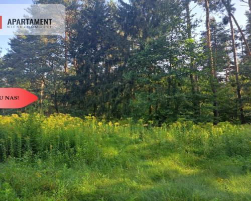 Działka 10 ar budowlana przy ścianie lasu!