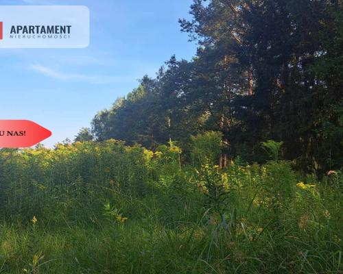 Działka 10 ar budowlana przy ścianie lasu!