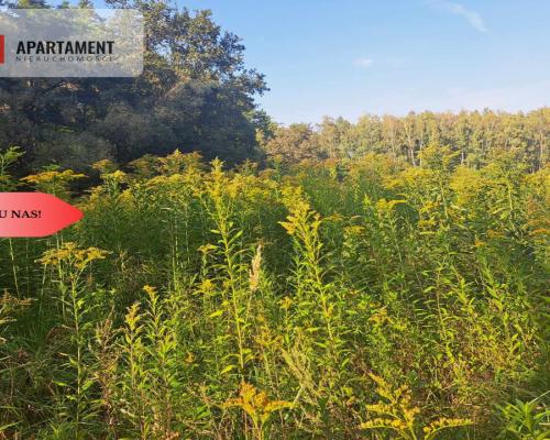 Działka 10 ar budowlana przy ścianie lasu!