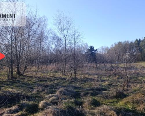 1200m²/Dolina Baryczy/Nowe Osiedle/media/MPZ