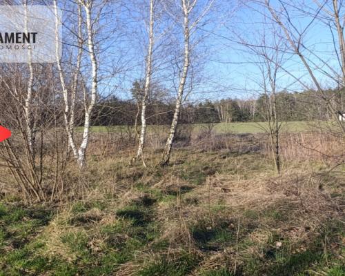 1200m²/Dolina Baryczy/Nowe Osiedle/media/MPZ