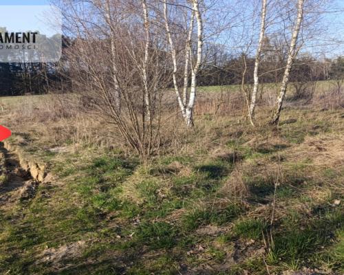 1200m²/Dolina Baryczy/Nowe Osiedle/media/MPZ