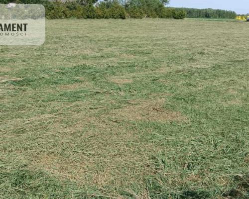 Urokliwa działka w spokojnej okolicy