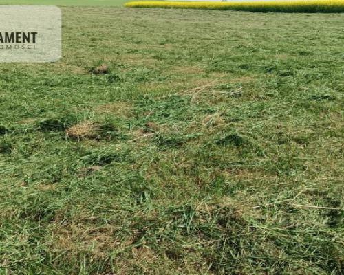 Urokliwa działka w spokojnej okolicy