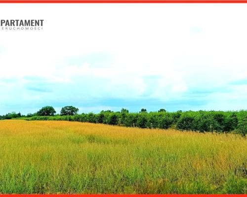 SCZUTKI 1320 m2 piękne ciche spokojne miejsce