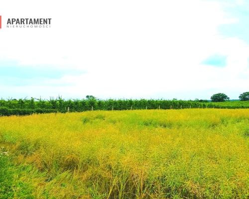 SCZUTKI 1320 m2 piękne ciche spokojne miejsce
