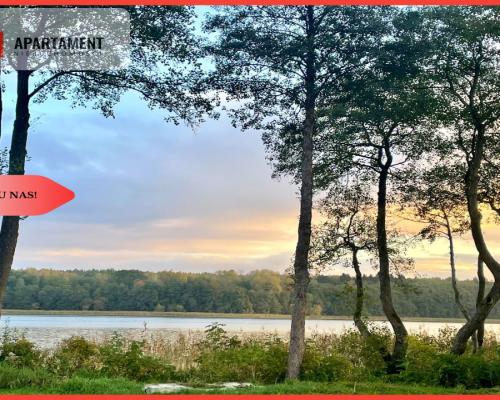 Działka z widokiem na jezioro