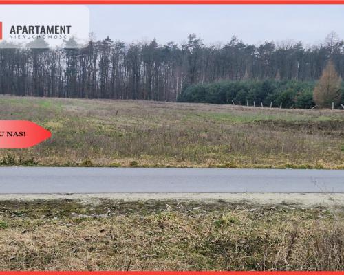 Działka budowlana ze ścianą lasu