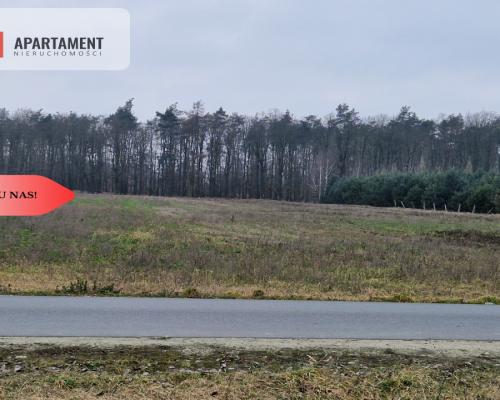 Działka budowlana ze ścianą lasu