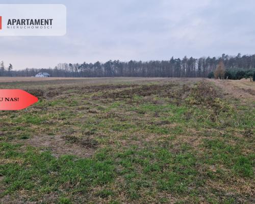 Działka budowlana ze ścianą lasu