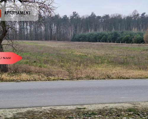 Działka budowlana ze ścianą lasu