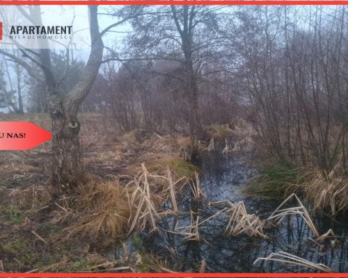 TYLKO U NAS !!! WSERCU BORÓW TUCHOLSKICH