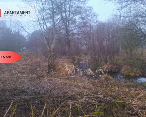 TYLKO U NAS !!! WSERCU BORÓW TUCHOLSKICH