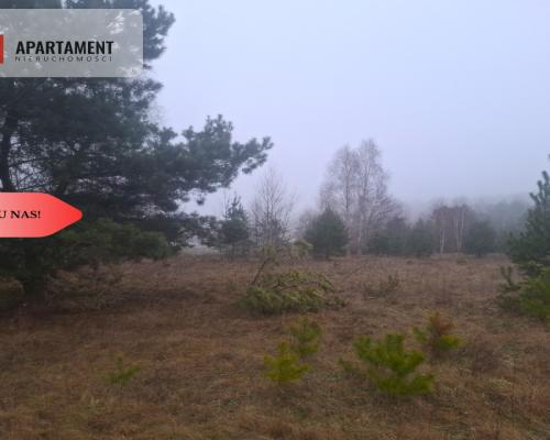 TYLKO U NAS !!! WSERCU BORÓW TUCHOLSKICH