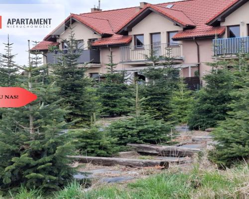 2900 mkw Idealnie pod inwestycję