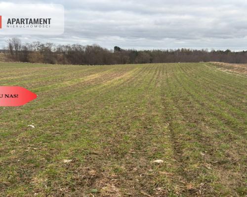 Działki z potencjałem inwestycyjnym