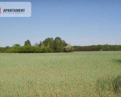 Działka Bory Tucholskie Jeziora i Zalew Koronowski