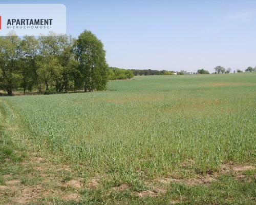 Działka Bory Tucholskie Jeziora i Zalew Koronowski