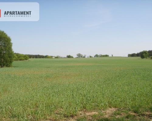 Działka Bory Tucholskie Jeziora i Zalew Koronowski