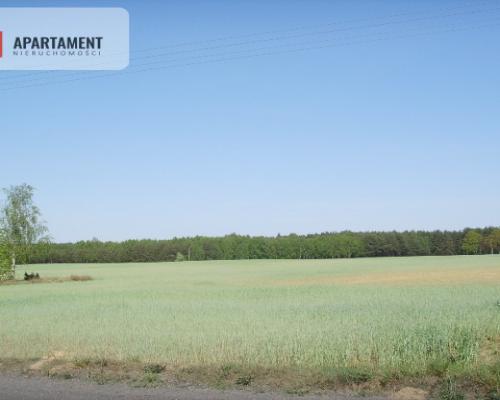 Działka Bory Tucholskie Jeziora i Zalew Koronowski