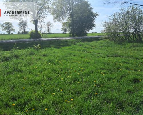 Dwie działki rolne – 2,2 ha, Górzna