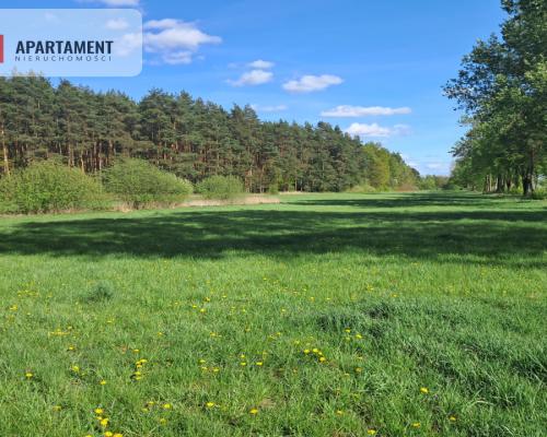 Dwie działki rolne – 2,2 ha, Górzna