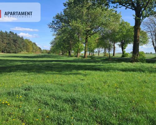 Dwie działki rolne – 2,2 ha, Górzna