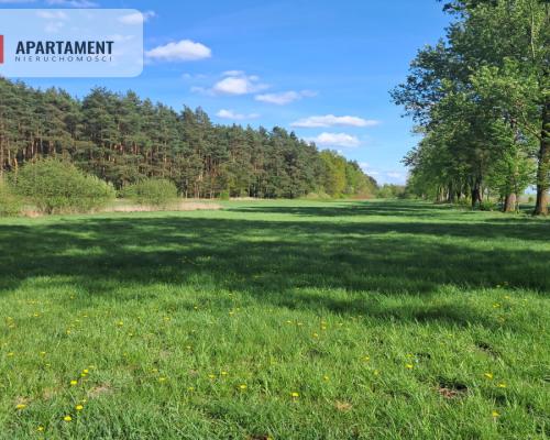 Dwie działki rolne – 2,2 ha, Górzna