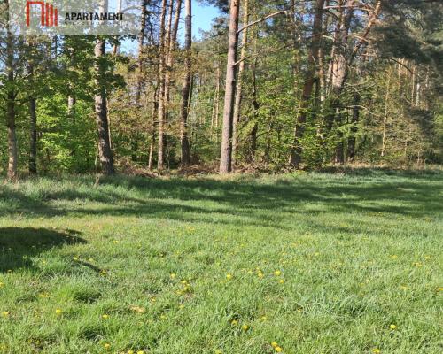 Dwie działki rolne – 2,2 ha, Górzna