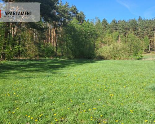 Dwie działki rolne – 2,2 ha, Górzna