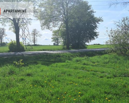 Dwie działki rolne – 2,2 ha, Górzna