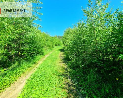 Tylko u Nas! Działka wśród brzózek! Piękne miejsce