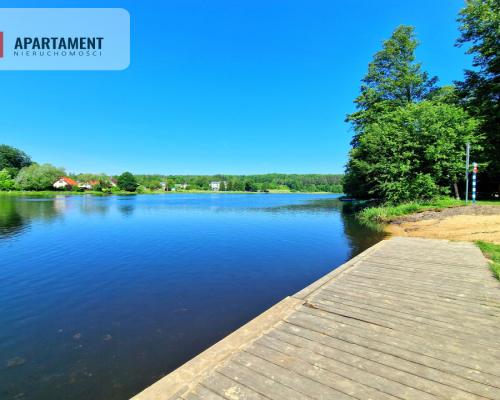 Tylko u Nas! Działka wśród brzózek! Piękne miejsce