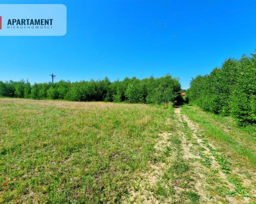 Tylko u Nas! Działka wśród brzózek! Piękne miejsce