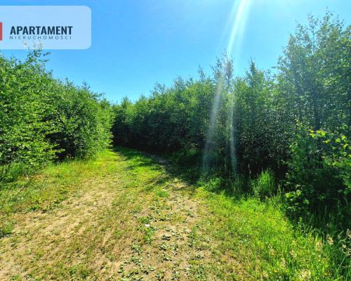 Tylko u Nas! Działka wśród brzózek! Piękne miejsce