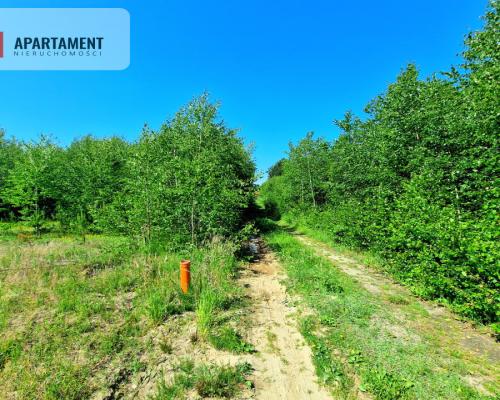 Tylko u Nas! Działka wśród brzózek! Piękne miejsce