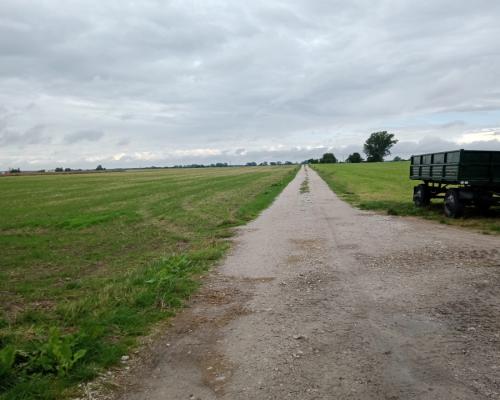 Działka w Parlinie ,gm Dąbrowa, pow. Mogilno