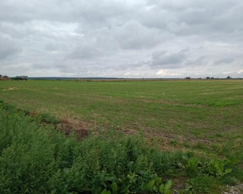 Działka w Parlinie ,gm Dąbrowa, pow. Mogilno