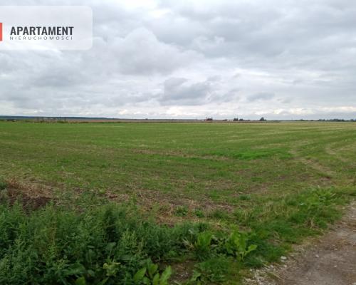 Działka w Parlinie ,gm Dąbrowa, pow. Mogilno