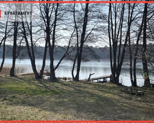 Dołgie, jezioro, las, media ,DZIAŁKI