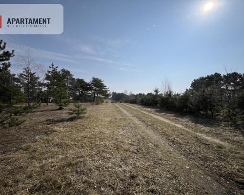 Dołgie, jezioro, las, media ,DZIAŁKI