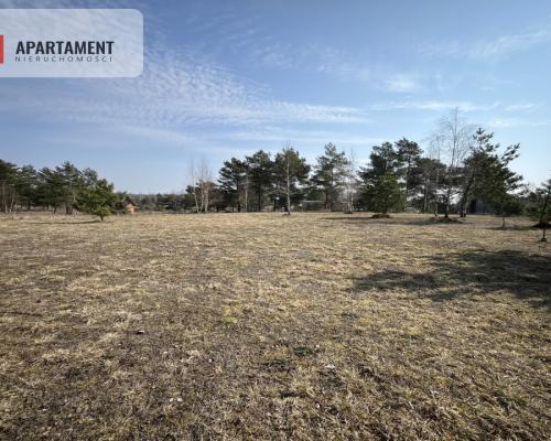 Dołgie, jezioro, las, media ,DZIAŁKI