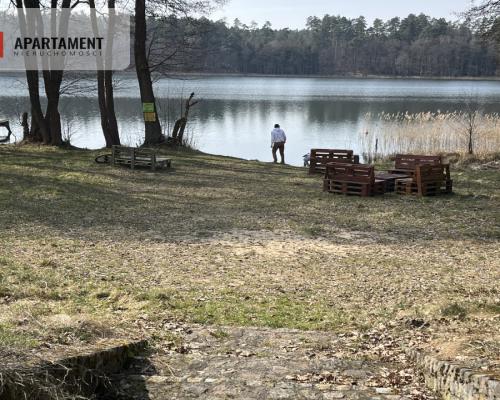 Dołgie, jezioro, las, media ,DZIAŁKI