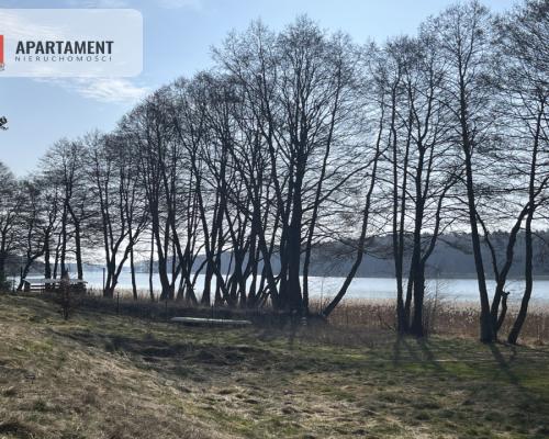 Dołgie, jezioro, las, media ,DZIAŁKI