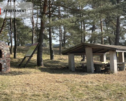 Dołgie, jezioro, las, media ,DZIAŁKI