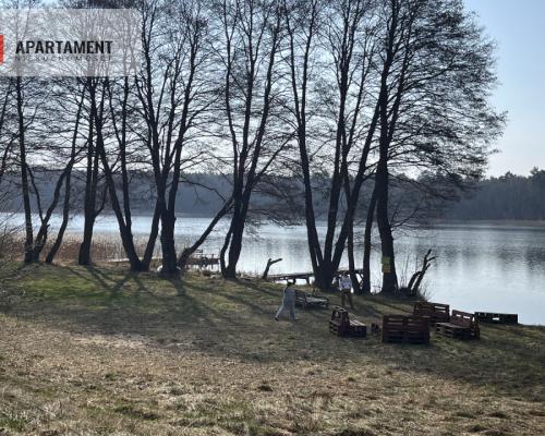 Dołgie, jezioro, las, media ,DZIAŁKI