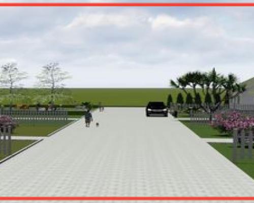 miejsce na twój dom - las