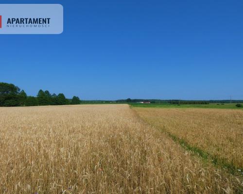 Spokojna okolica. Ładnie położona.