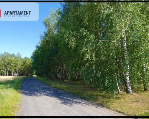 Spokojna okolica. Ładnie położona.