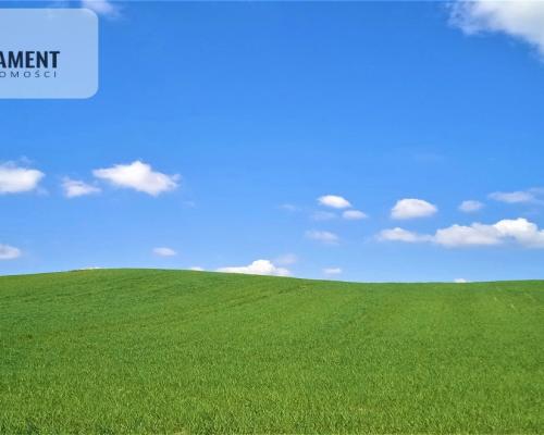 Spokojna okolica. Ładnie położona.